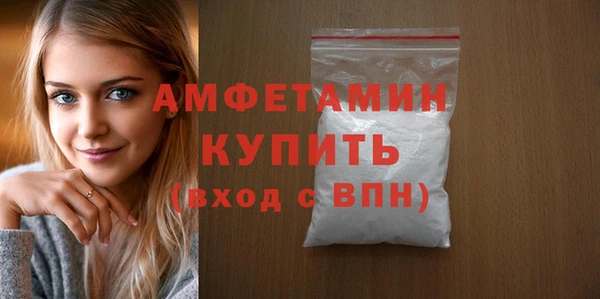 мет Алексин