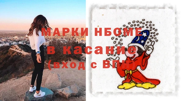 мет Алексин