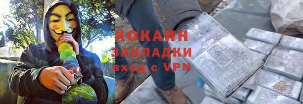 мет Алексин