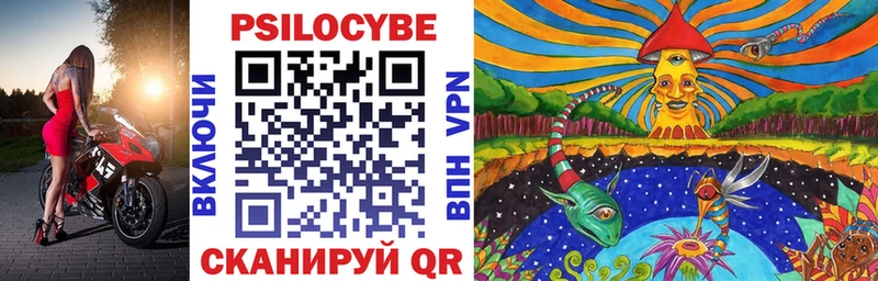 где продают наркотики Бирюсинск Псилоцибиновые грибы MAGIC MUSHROOMS